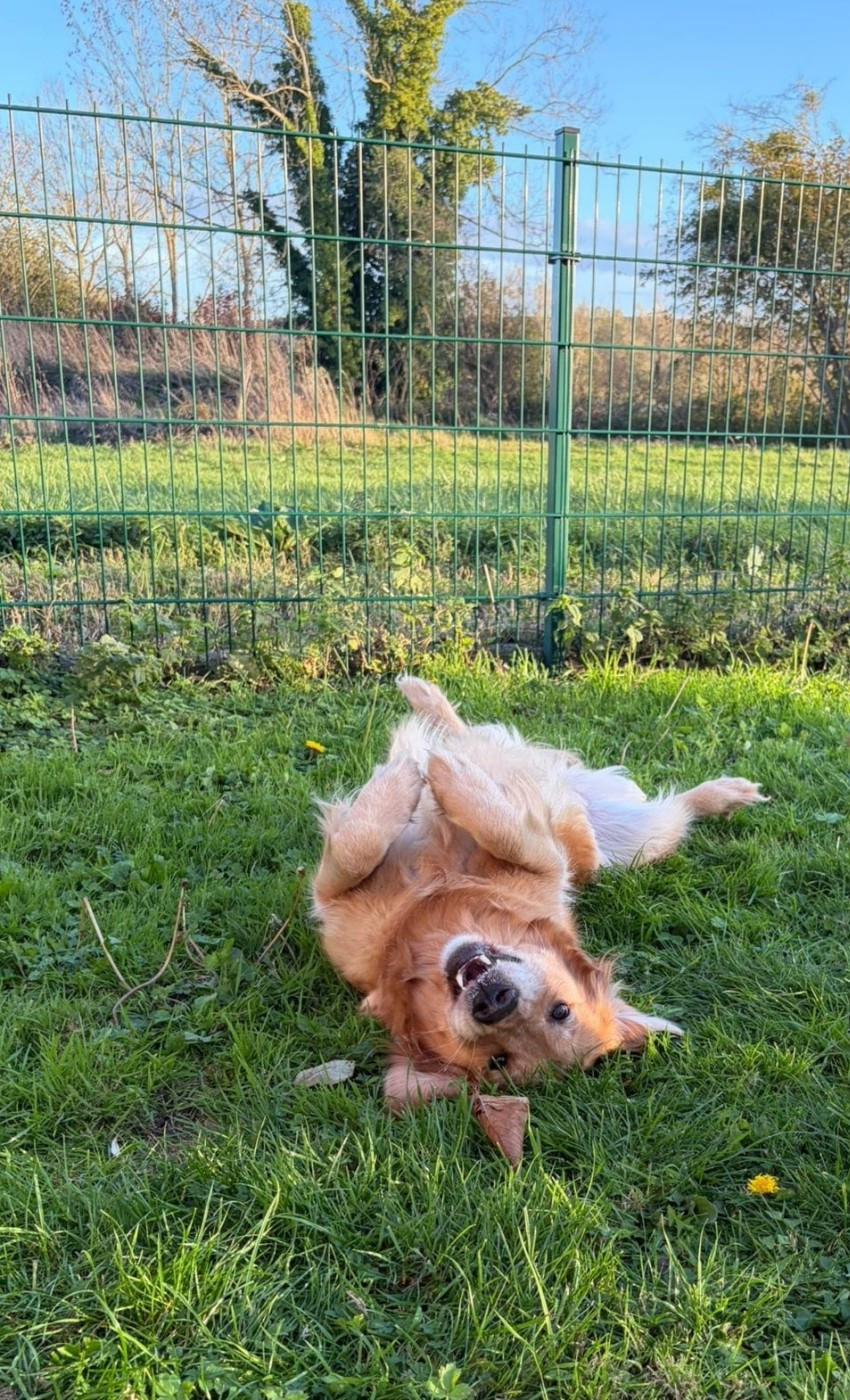 Bientôt des nouvelles !