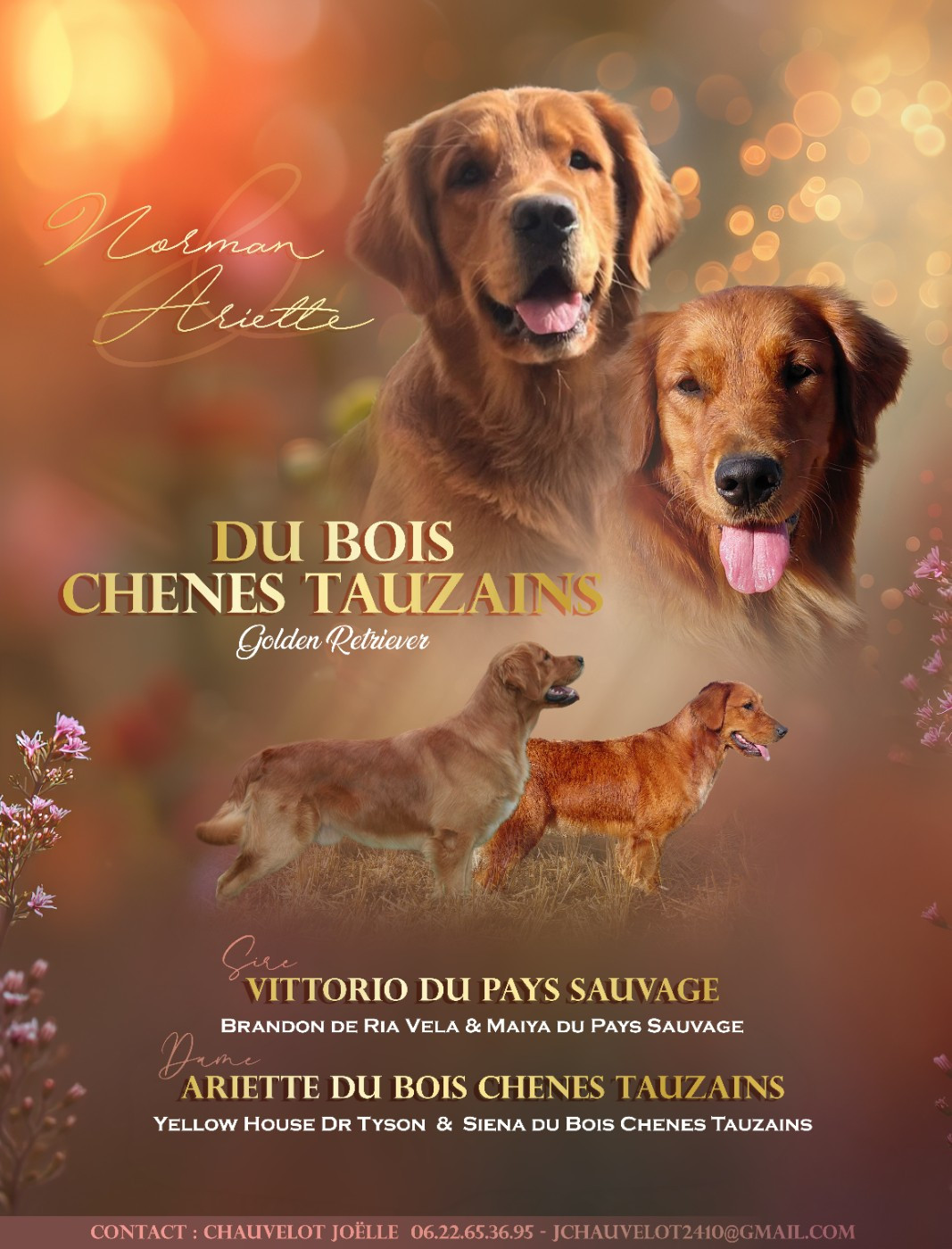 Mariage 2027
